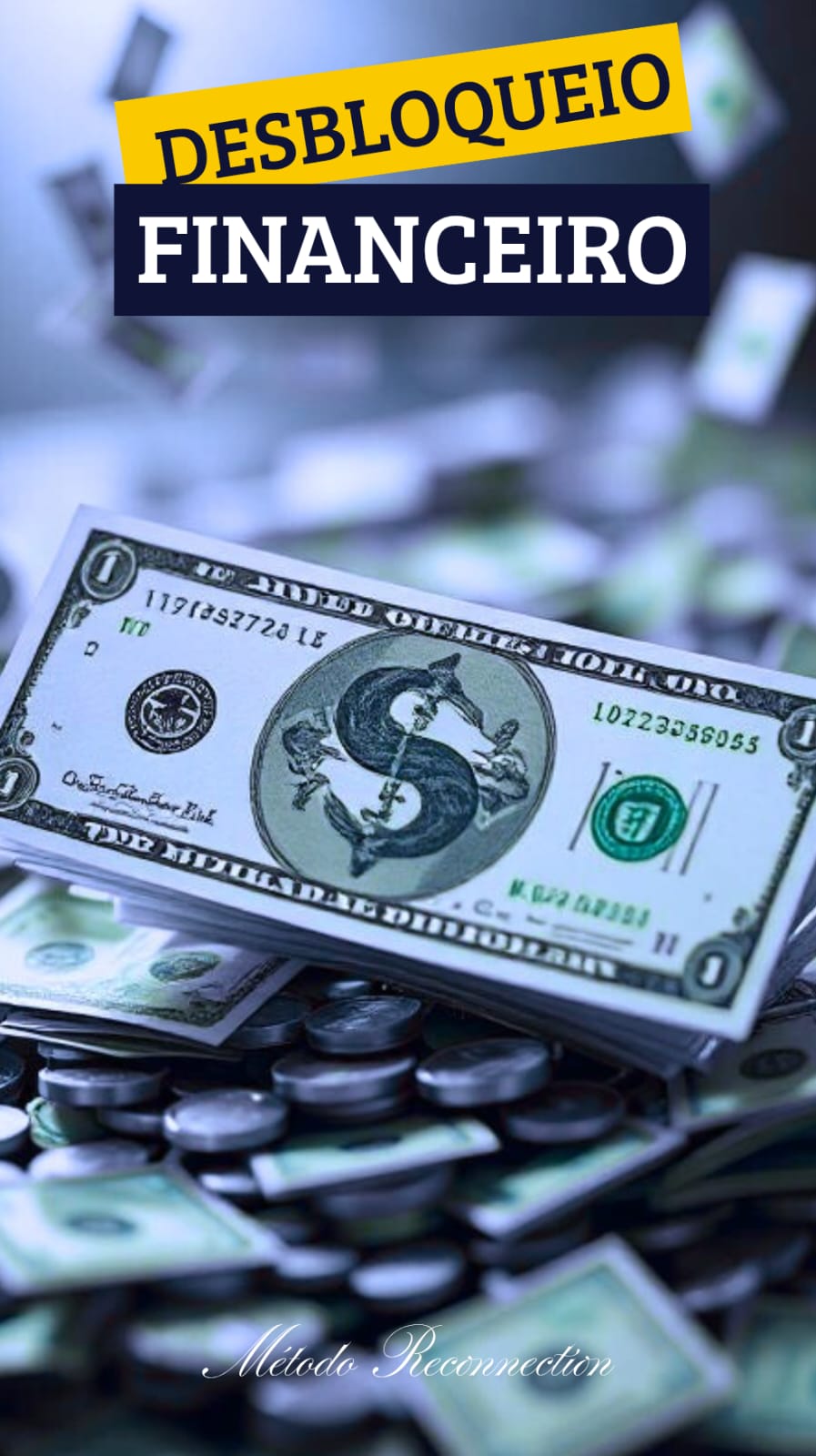 Desbloqueio Financeiro